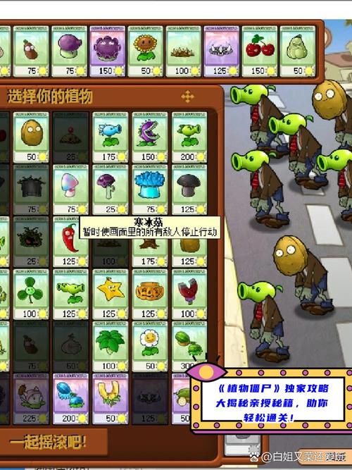 喵喵岛3游戏攻略教你快速上手轻松通关