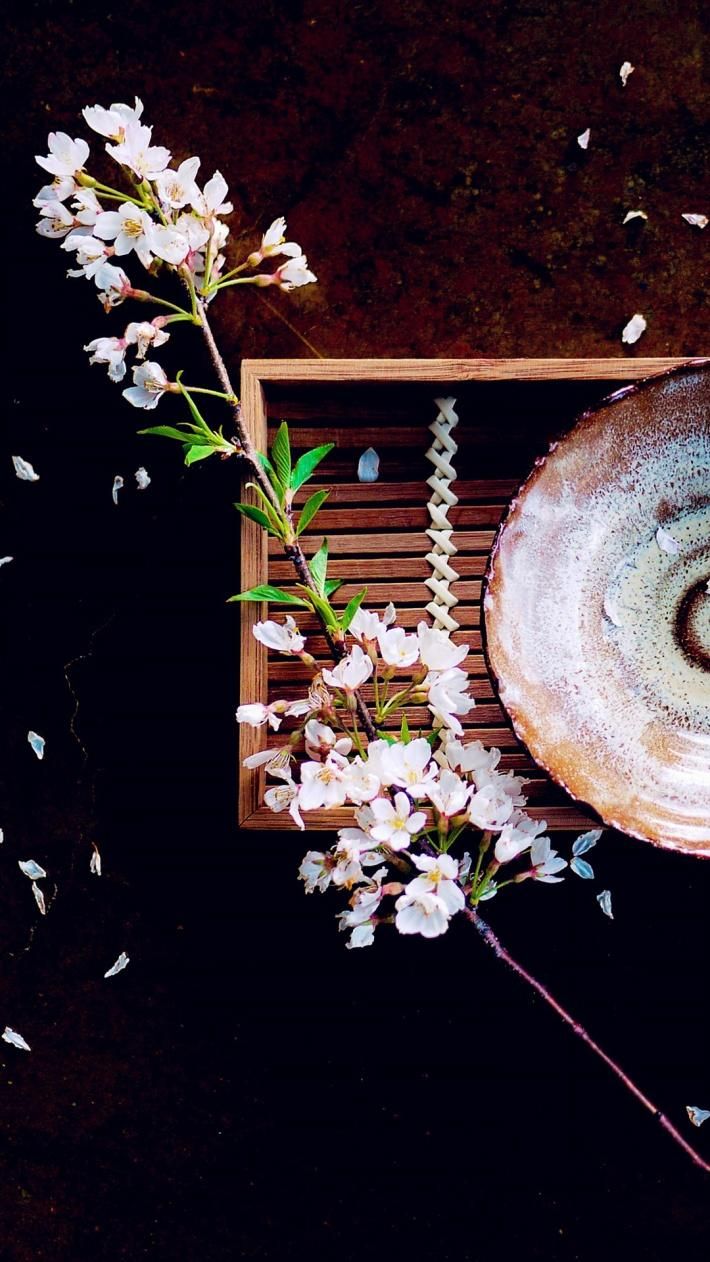 四季下载地址大全 手机电脑都能用 四季下载地址大全 手机电脑都能用