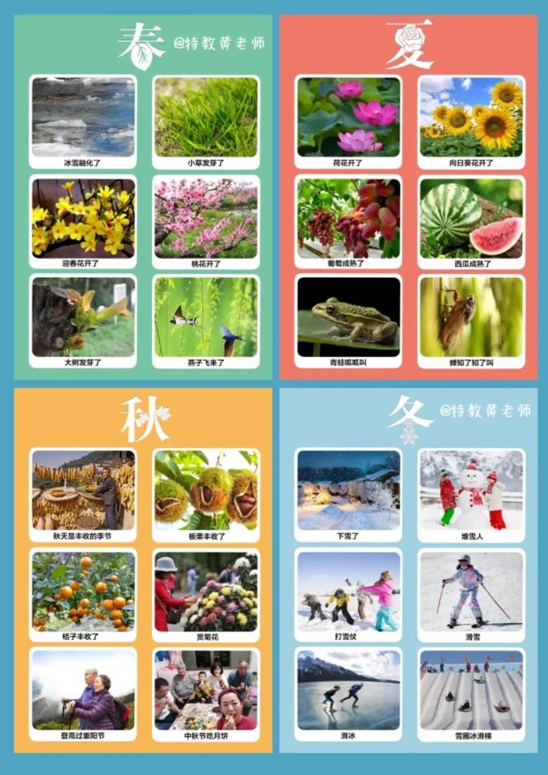 四季下载地址大全 手机电脑都能用 四季下载地址大全 手机电脑都能用