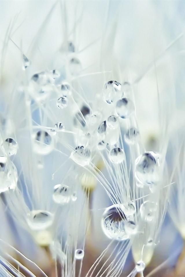 四季下载地址大全 手机电脑都能用 四季下载地址大全 手机电脑都能用