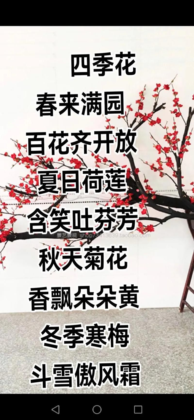四季在哪下载 最新版本四季软件免费获取方法