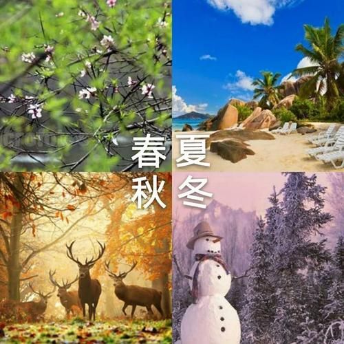 四季在哪下载 最新版本四季软件免费获取方法