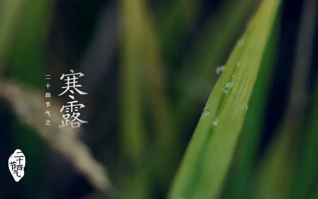 四季在哪下载 最新版本四季软件免费获取方法