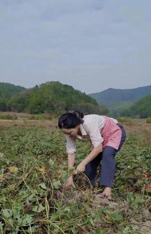 回到农村下载地址大全 免费资源轻松下载