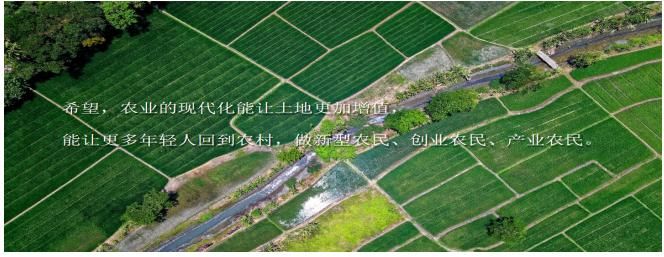 回到农村在哪下载快 最新官方正版下载渠道推荐