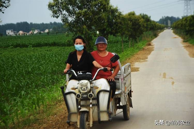 回到农村在哪下载快 最新官方正版下载渠道推荐