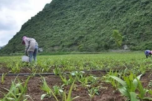 回到农村在哪下载快 最新官方正版下载渠道推荐