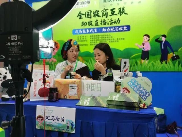 回到农村在哪下载快 最新官方正版下载渠道推荐