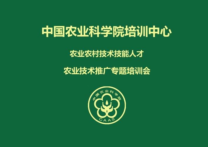 回到农村在哪下载快 最新官方正版下载渠道推荐
