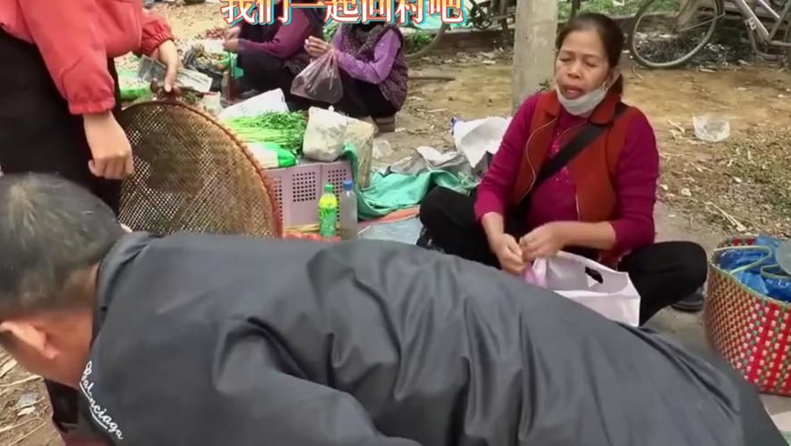 回到农村官方正式版下载最新版安装包免费获取