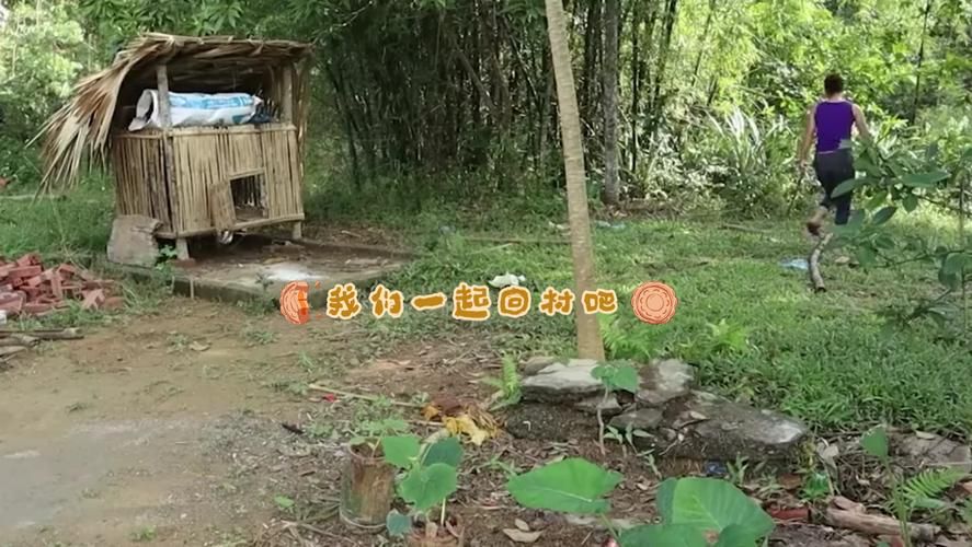 回到农村官方正式版下载最新版安装包免费获取