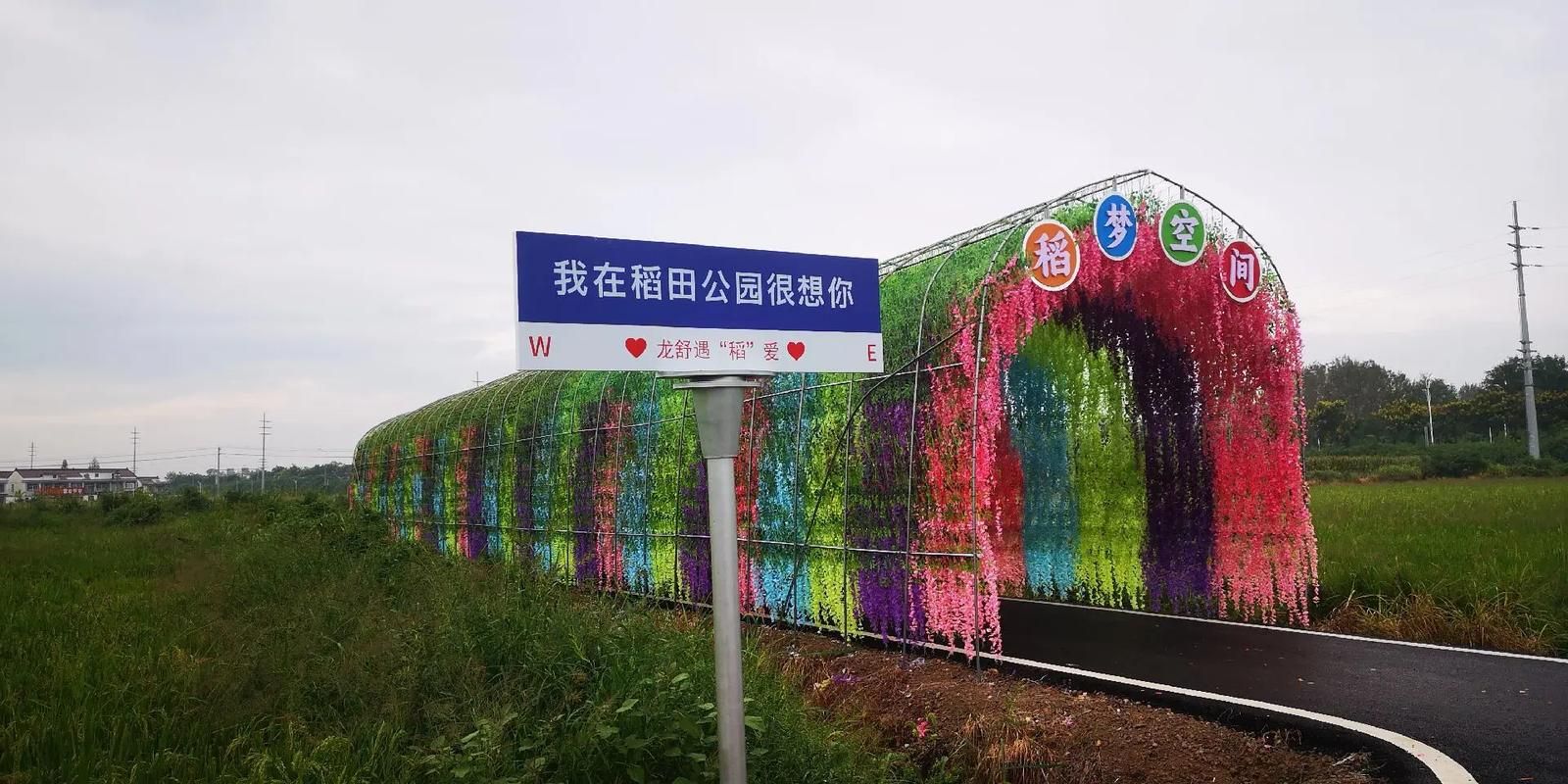 回到农村官网发现美丽乡村的隐藏玩法