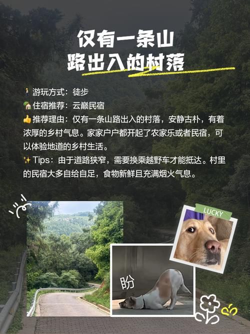 回到农村官网发现美丽乡村的隐藏玩法