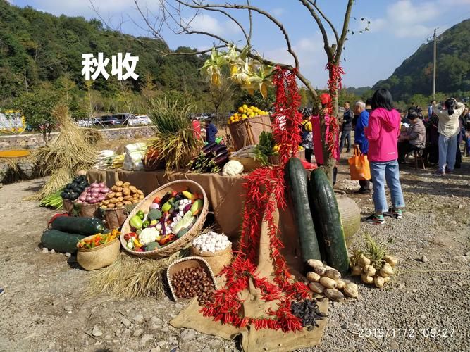 回到农村官网发现美丽乡村的隐藏玩法