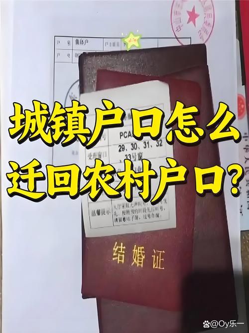 回到农村更新地址需要准备哪些材料和证件
