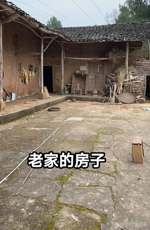 回到农村最新版本是多少 手机版和电脑版区别