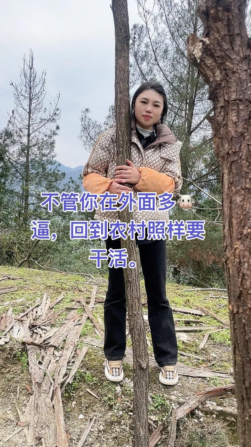 回到农村最新版本是多少 手机版和电脑版区别