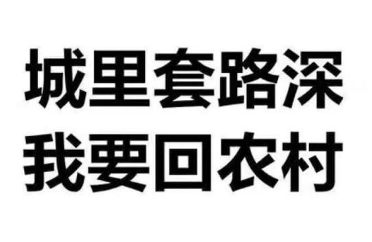 回到农村最新版本玩法攻略新手必看指南