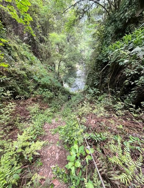 回到农村最新版本玩法攻略新手必看指南