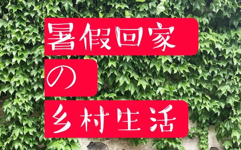 回到农村汉化版下载安装教程超详细 回到农村汉化版下载安装教程超详细