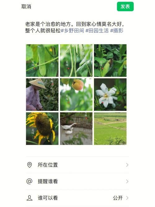 回到农村游戏下载攻略 轻松获取田园生活模拟器