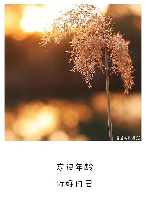 回归本源最新趋势 现代人如何重拾简单生活方式