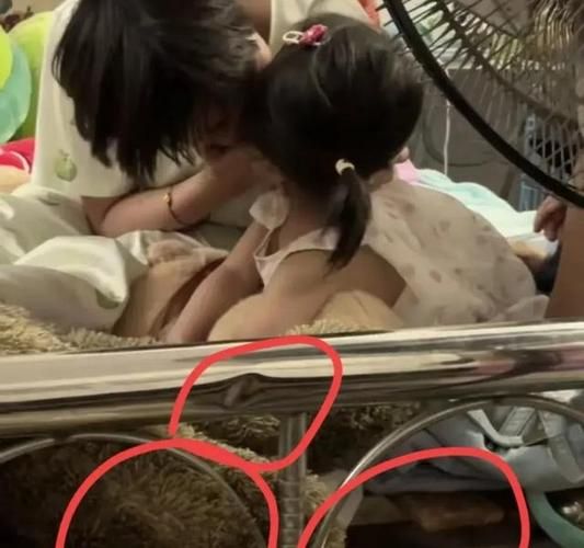 团圆之时游戏介绍 家庭互动与剧情亮点一览