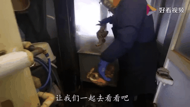 土豪的假日消遣大全 这些玩法让你大开眼界