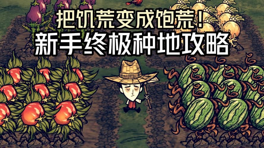 圣石少女篇官网攻略大全新手必看指南