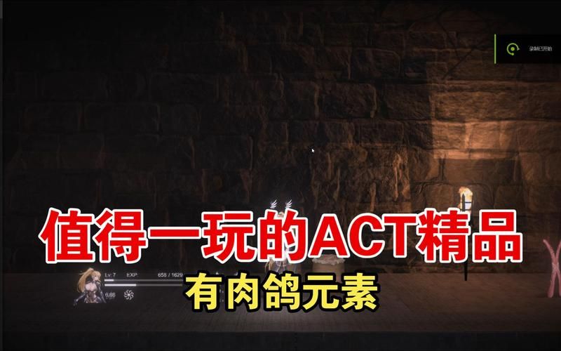 圣骑士复仇之夜绅士游戏下载 最新版本一键获取
