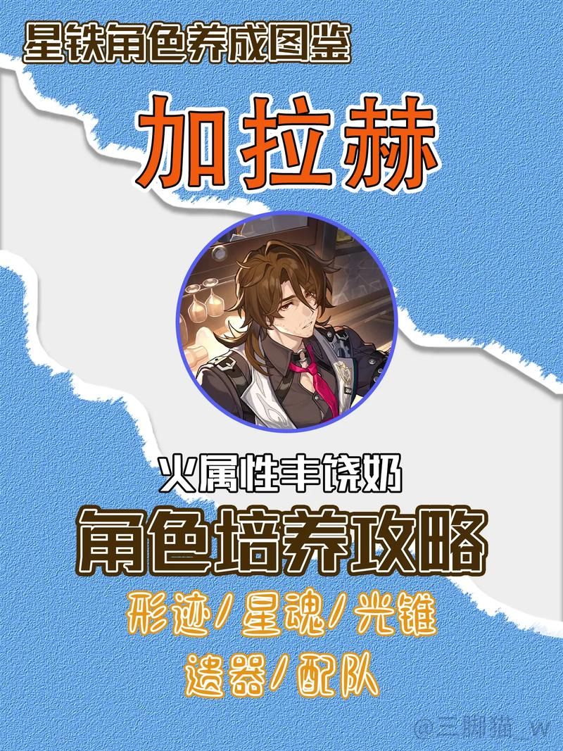 圣骑士大人与魅魔从者安卓角色培养技巧