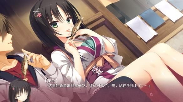 圣骑士大人与魅魔从者绅士游戏新手入门教程