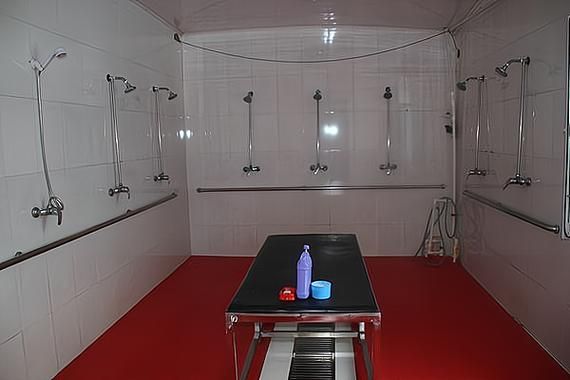 在乡下的公共澡堂在哪下载 乡下公共浴室位置大全 在乡下的公共澡堂在哪下载 乡下公共浴室位置大全