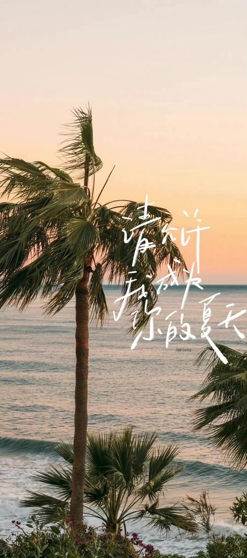 在夏日的甜蜜回忆官方网站找到属于你的夏天