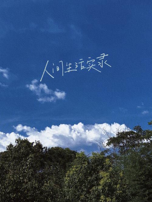 在夏日的甜蜜回忆官方网站找到属于你的夏天