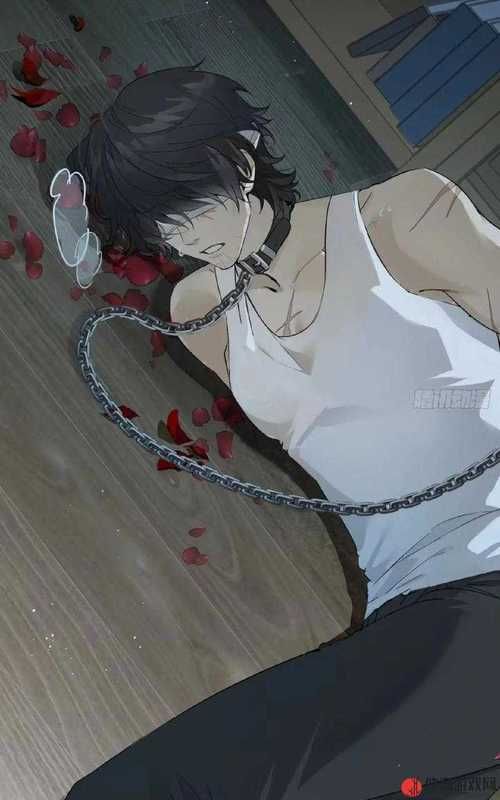 地下偶像游戏攻略全关卡通关技巧分享