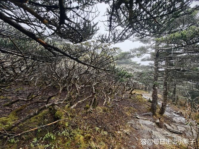 地狱矿工游戏介绍 黑暗洞穴生存指南详解 地狱矿工游戏介绍 黑暗洞穴生存指南详解