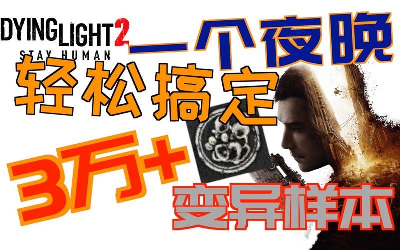 堕入迷网版本大全完整收录 轻松找到你想要的版本 堕入迷网版本大全完整收录 轻松找到你想要的版本