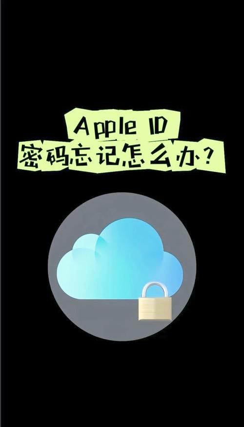 塞雷卡官方网站怎么进 教你快速登录官网