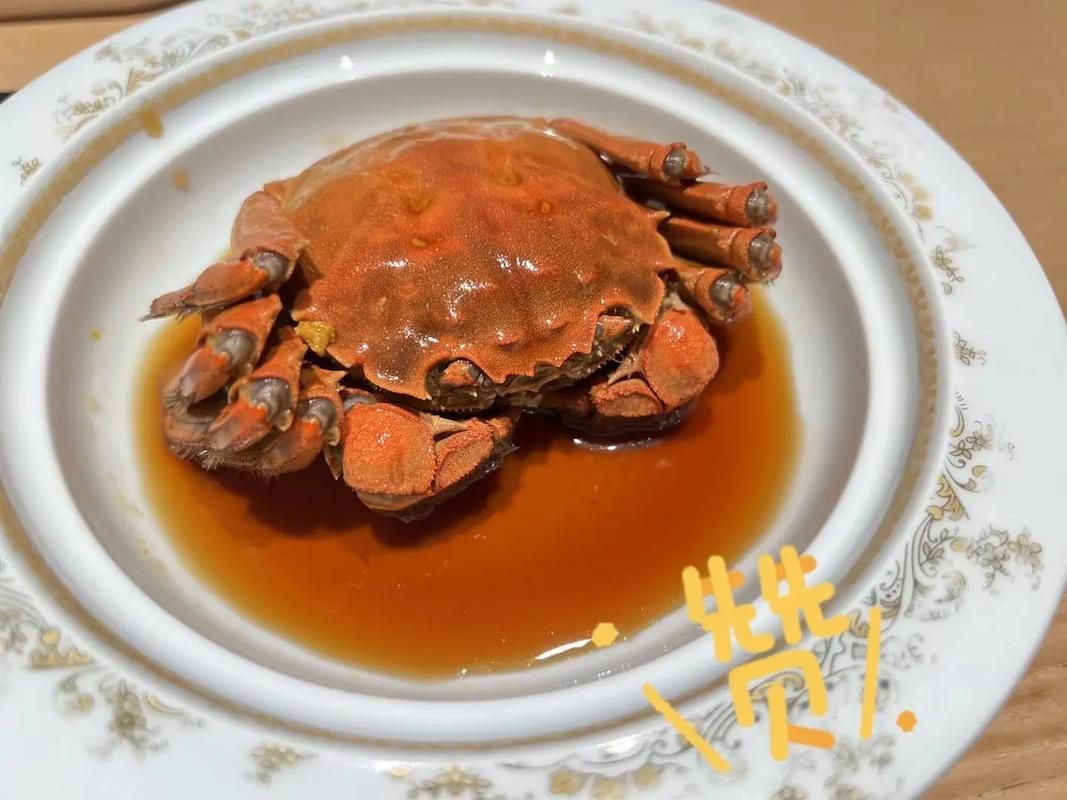 塞雷卡官网产品介绍及购买指南分享 塞雷卡官网产品介绍及购买指南分享