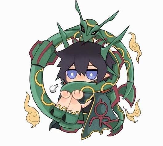 塞雷卡版本大全历史更新内容全解析