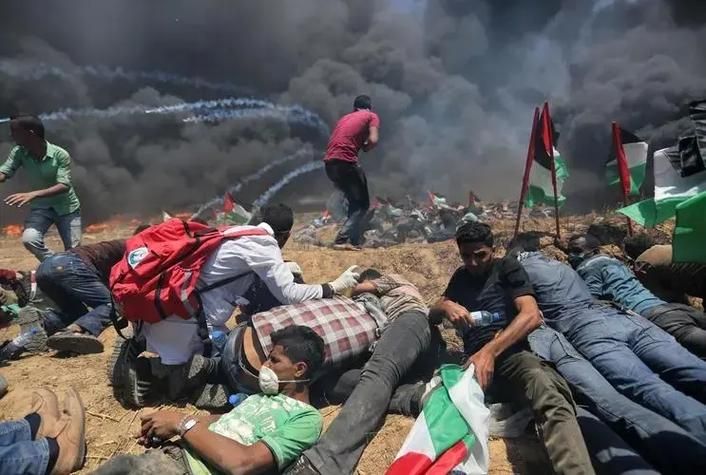 塞雷卡版本大全历史更新内容全解析