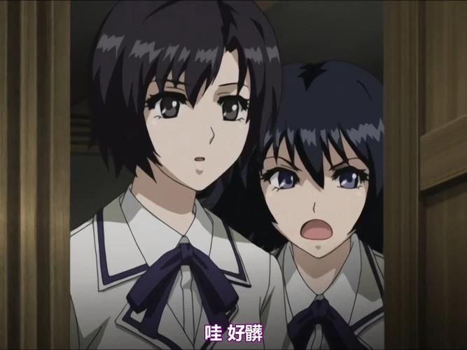 壳之少女三部曲安卓版下载 高清画质流畅体验