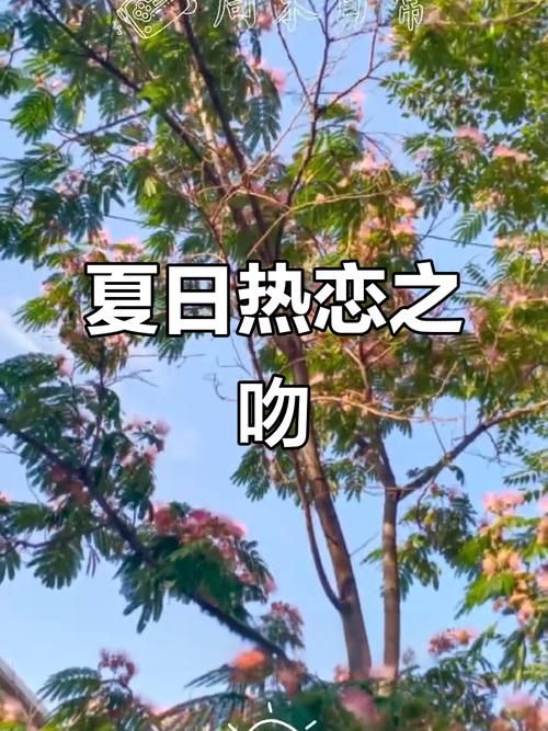 夏日之吻官方网站带你解锁今夏最甜美的吻 夏日之吻官方网站带你解锁今夏最甜美的吻