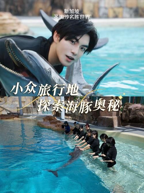 夏日之吻官网新品上市 快来体验夏日浪漫色彩