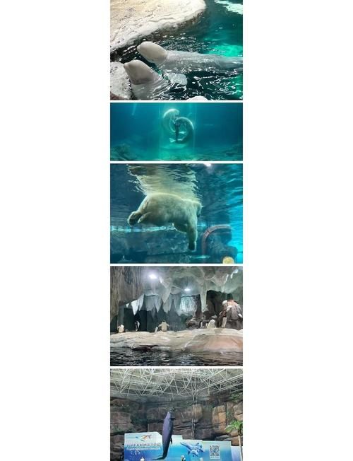 夏日之吻更新地址在哪找 一键获取最新版本