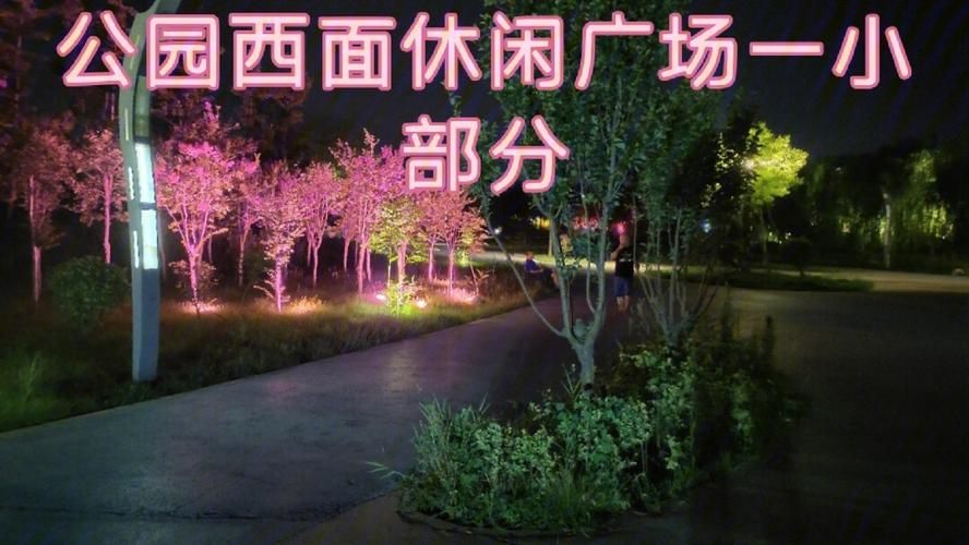 夏日小公园厕所更新地址查询方法一键获取