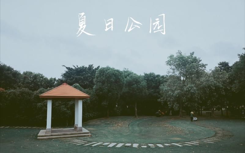 夏日小公园厕所游戏攻略常见问题解答大全