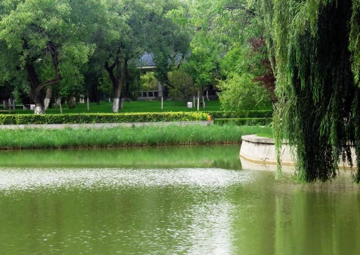 夏日小公园的厕所下载地址推荐 出门必备实用工具 夏日小公园的厕所下载地址推荐 出门必备实用工具