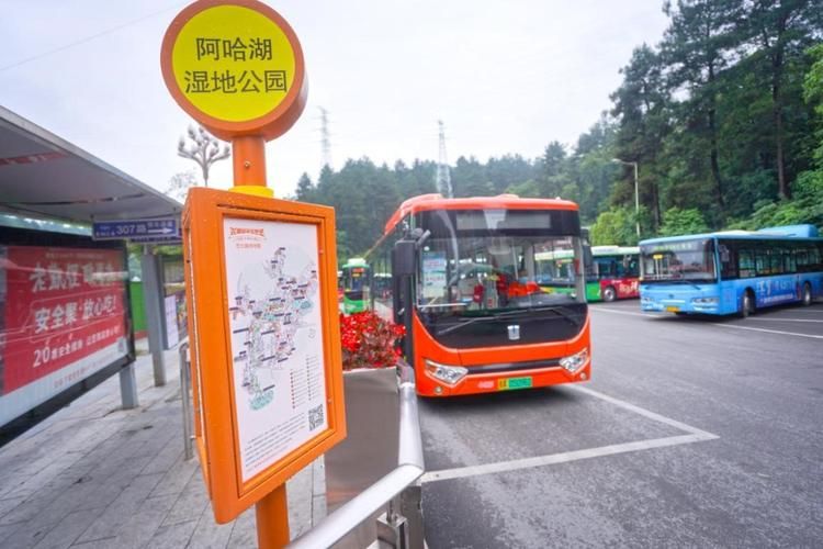 夏日小公园的厕所下载地址推荐 出门必备实用工具 夏日小公园的厕所下载地址推荐 出门必备实用工具